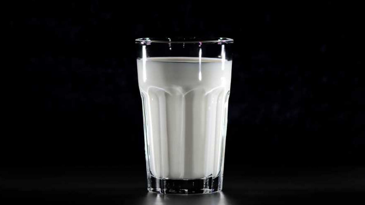producenci mleka